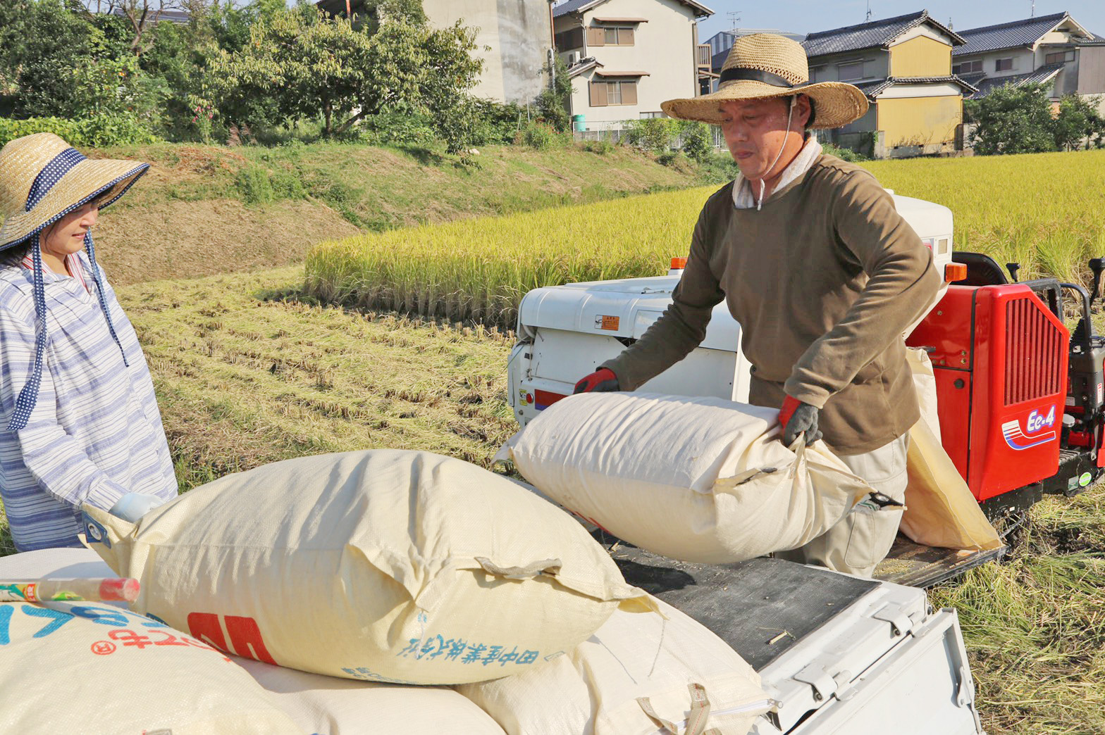 やなぎだ昌孝米作り